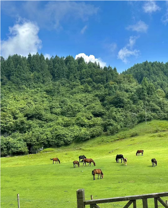 金種源大家庭-麻辣燙之旅